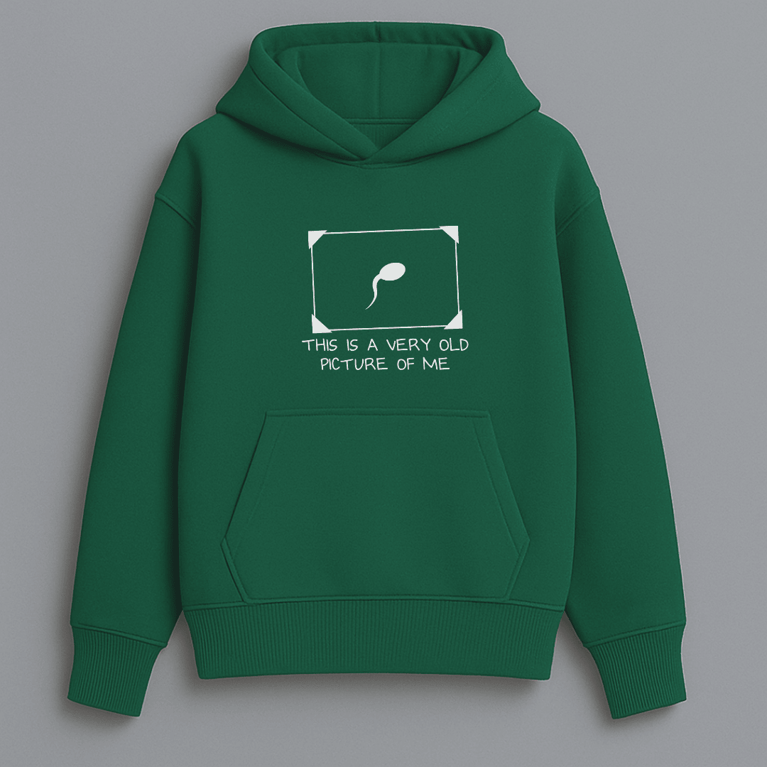 Meme oversized graphic hoodie multiple colours by Words Armor