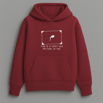 Meme oversized graphic hoodie multiple colours by Words Armor