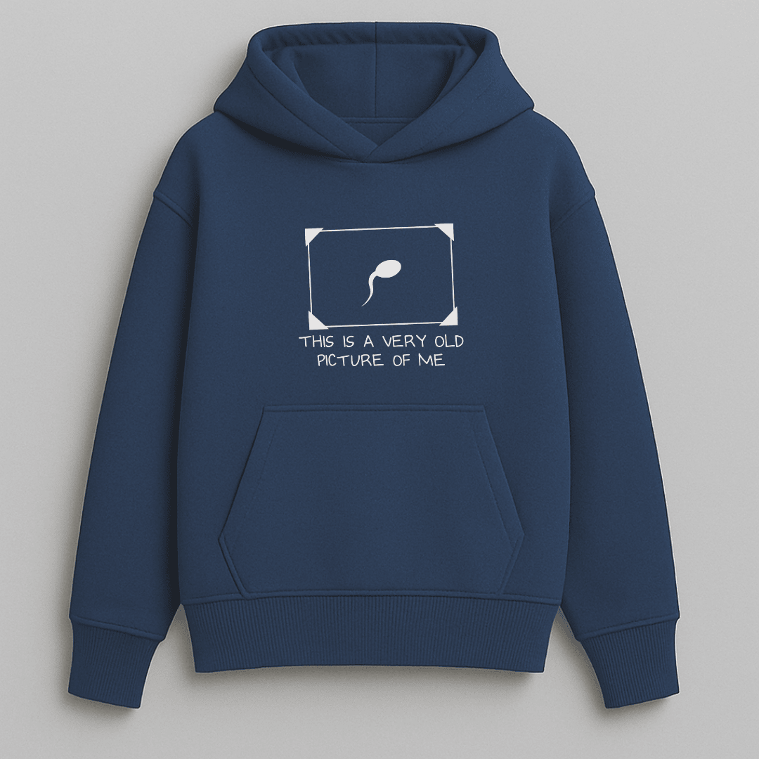 Meme oversized graphic hoodie multiple colours by Words Armor
